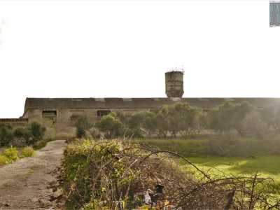 Pe raggiungere l'oasi da Bari � necessario percorrere la statale 16 fino ad arrivare nei pressi del lido Nettuno, per poi imboccare una stradina sterrata sulla destra. Il viottolo, che costeggia il muro di cinta di un ex cementificio, ci porta dopo cinquecento metri sulla costa